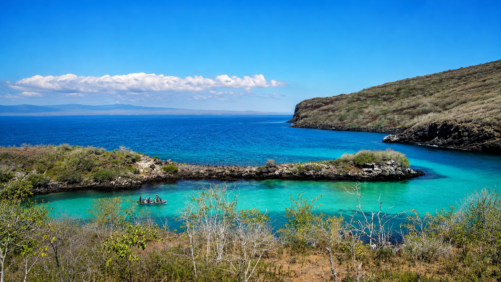 Pinzón Island Tour