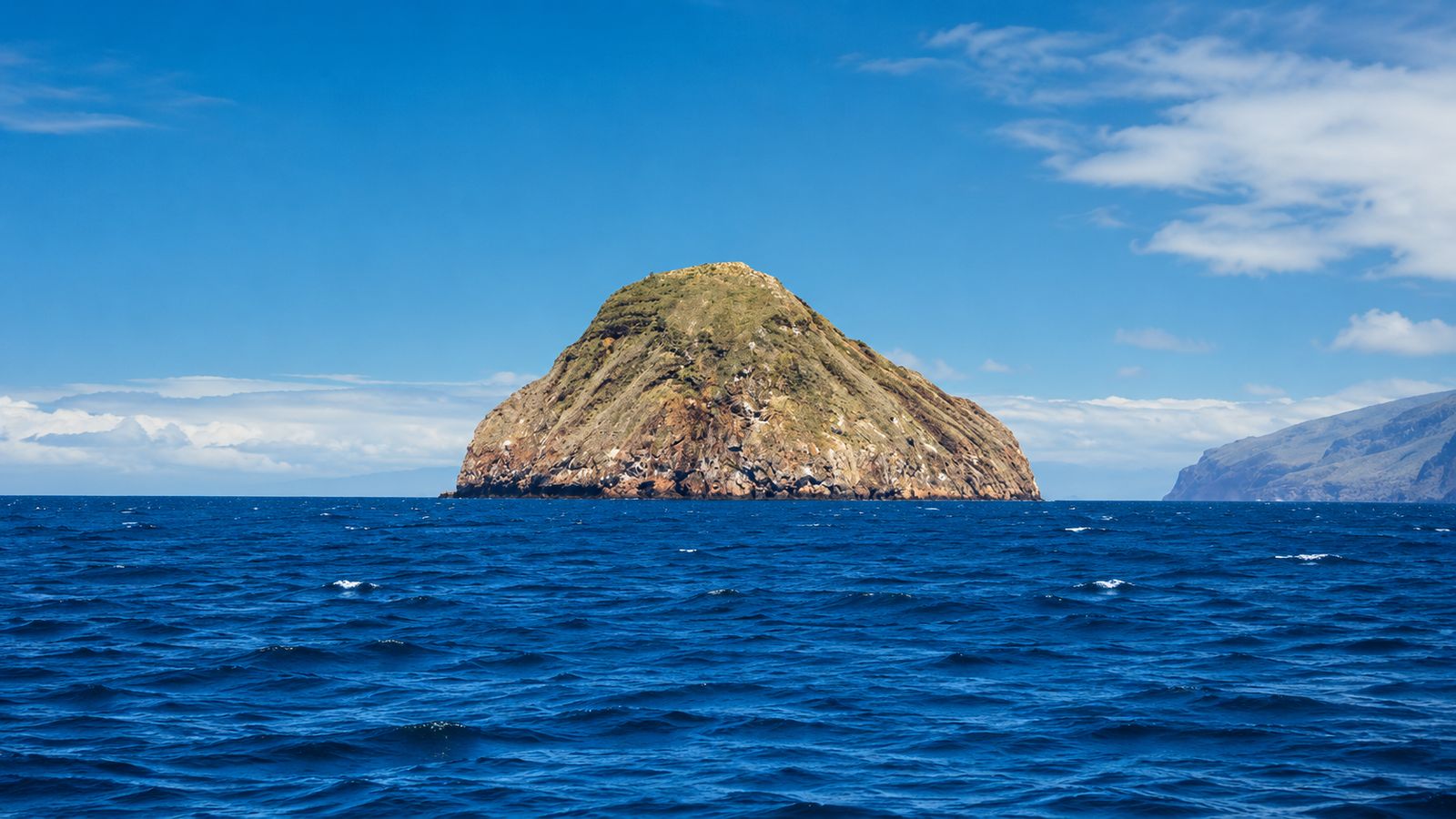 Pinzón Island Tour