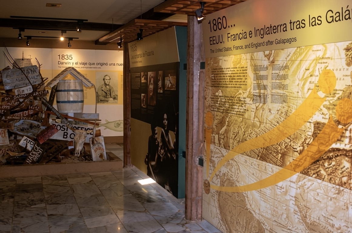 Gallery 4