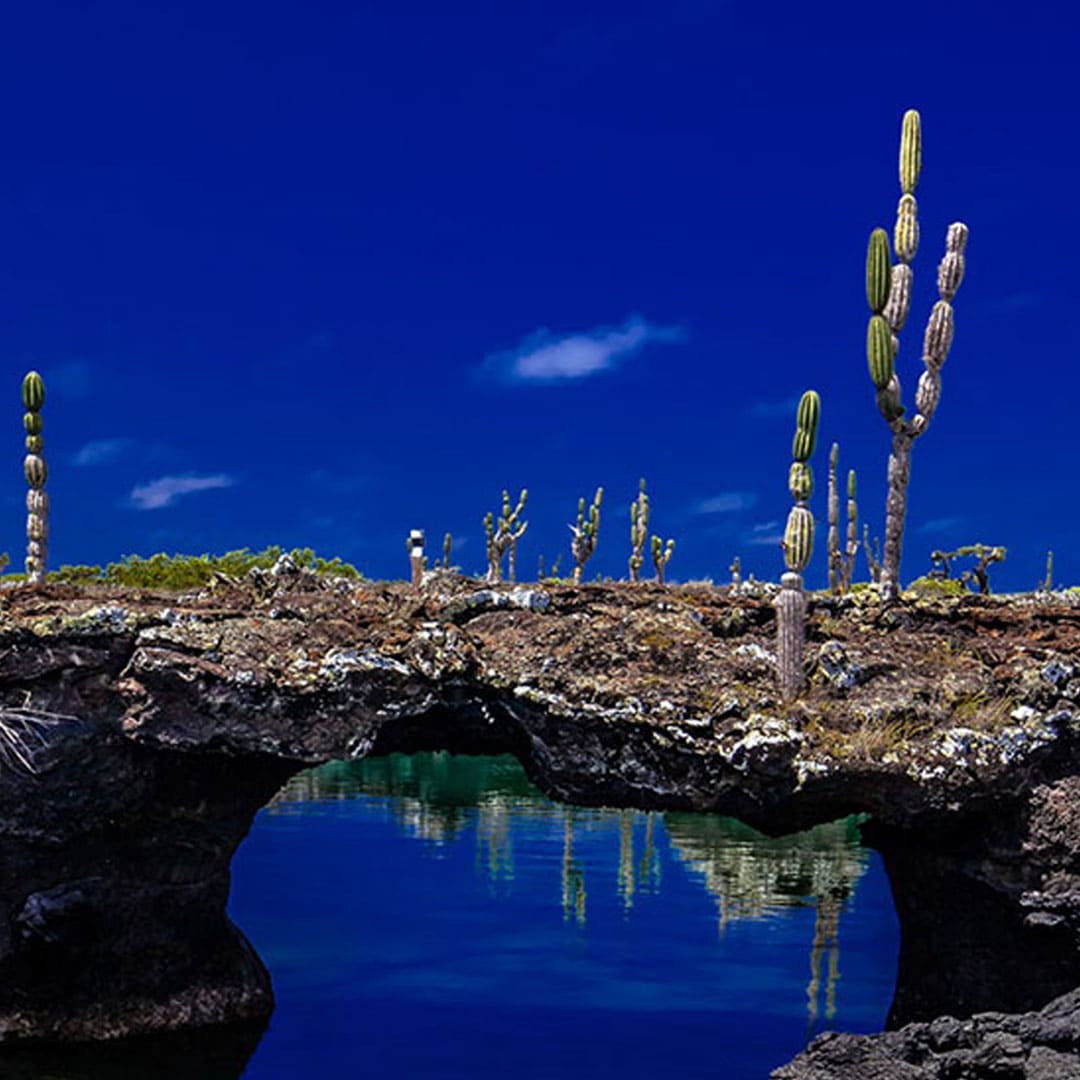 Los Tuneles in Galapagos Islands