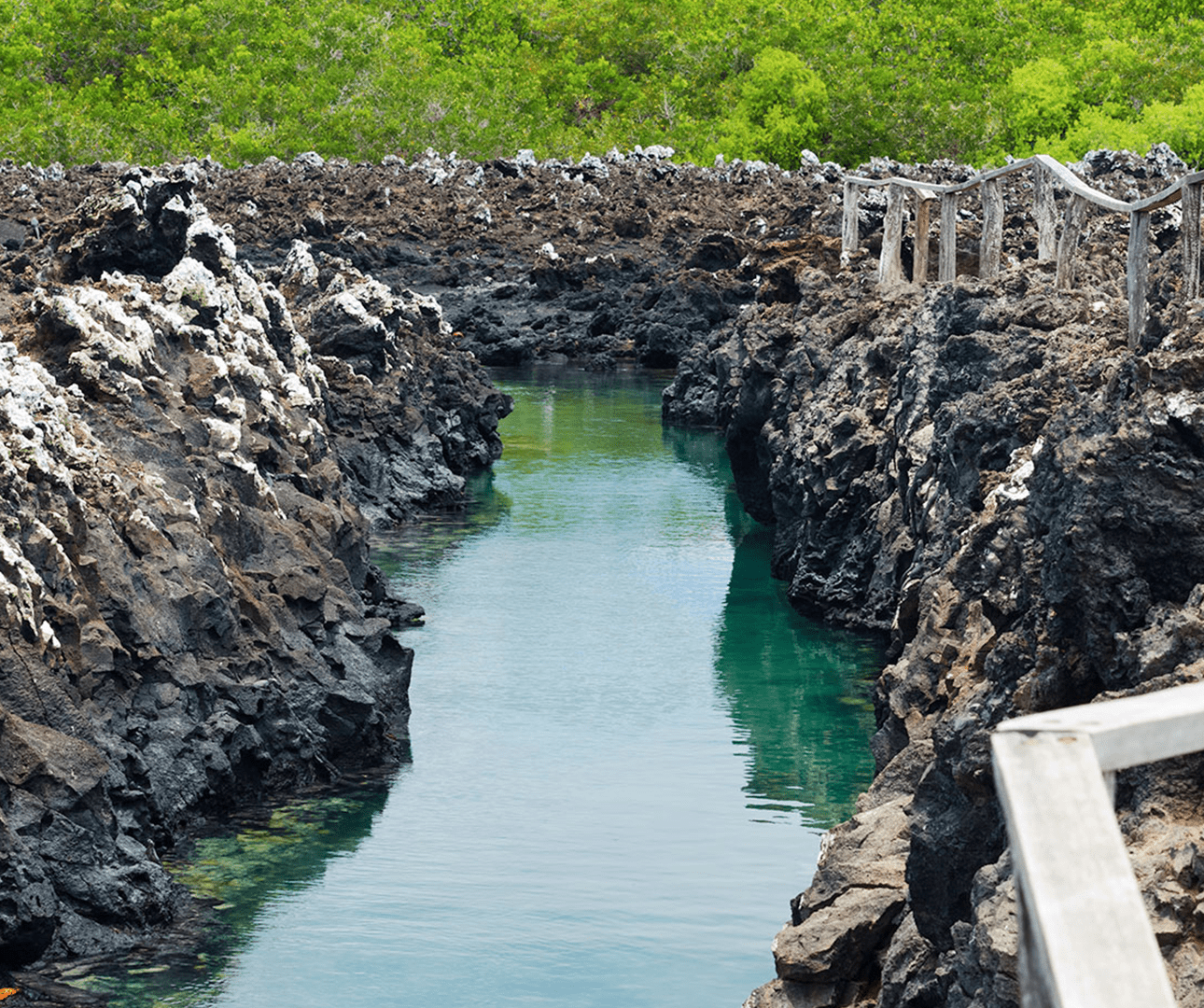 Las Tintoreras, Galapagos Islands