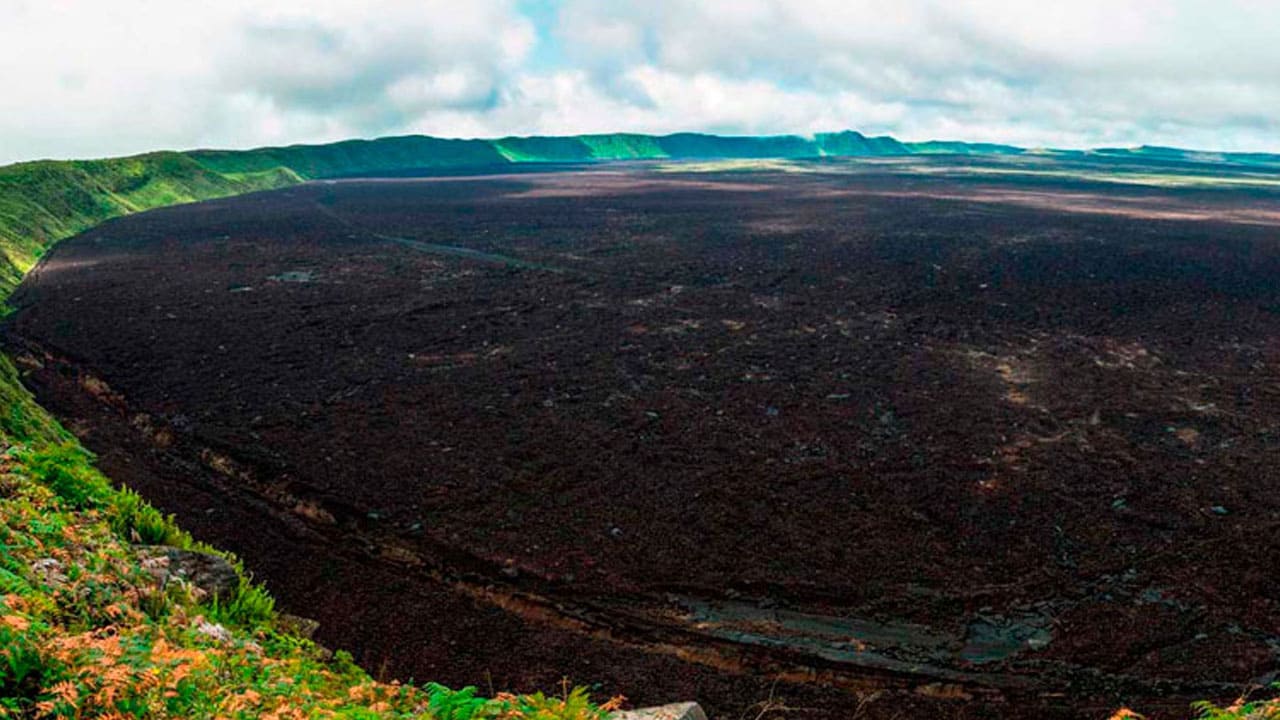 Tour Tintoreras in Galapagos Islands